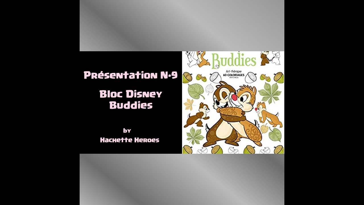 Présentation du livre - Bloc Buddies Disney