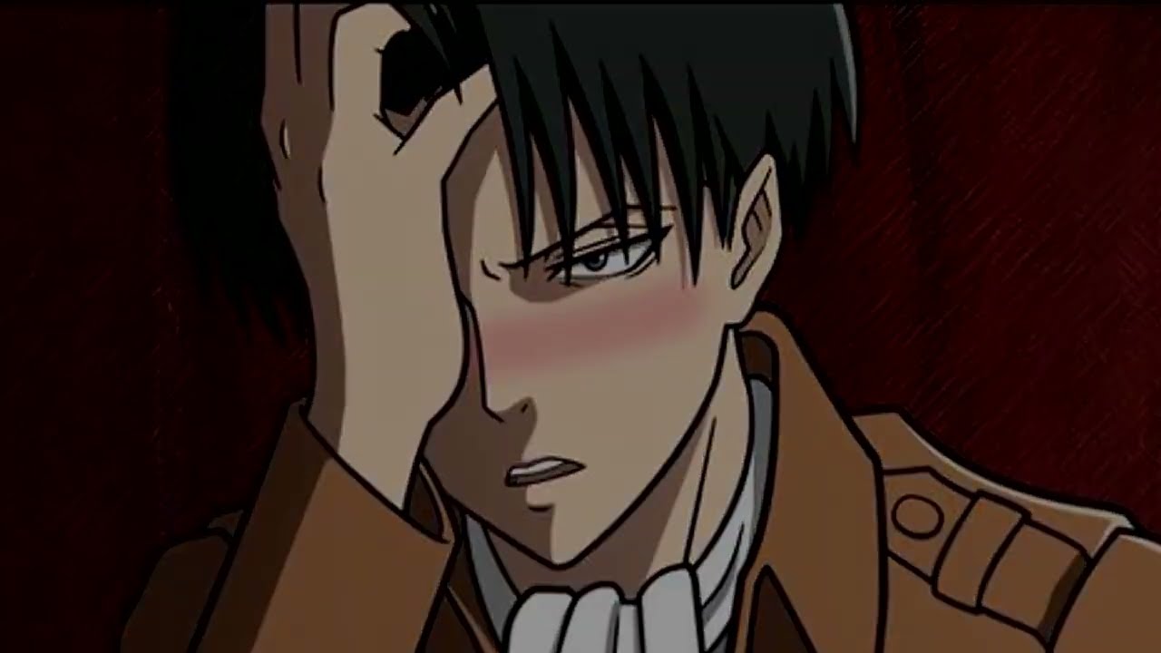Especial Malos Entendidos Levi x Mikasa
