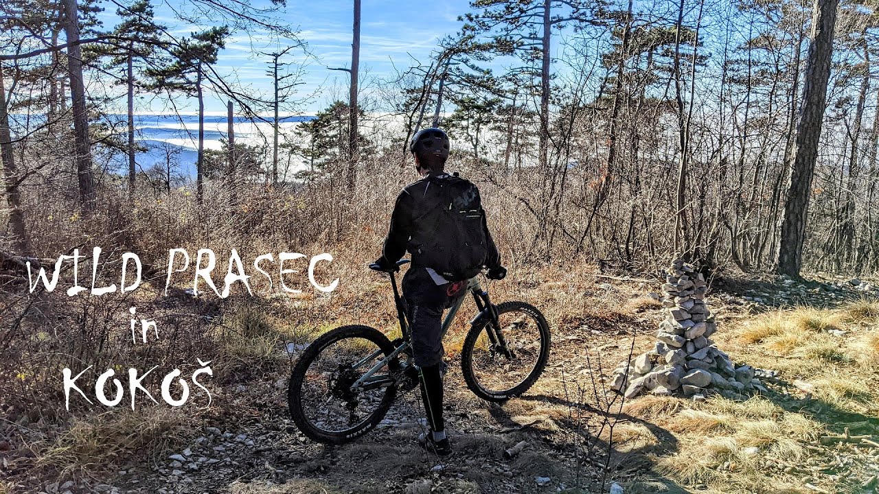 MTB KOKOŠ // KARAMONKE // WILD PRASEC
