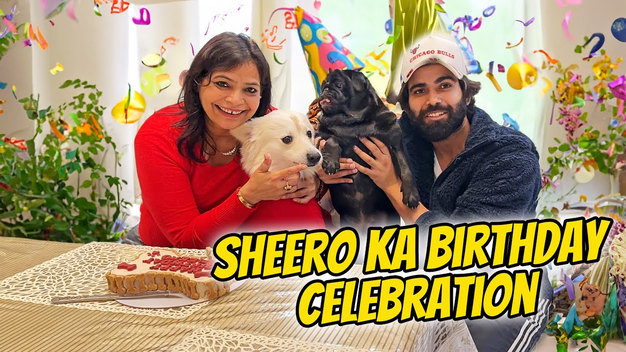 Sheero Ka Birthday Bash 🥳❤️ || Mummy ne Kari Karan Ki Dhunayi