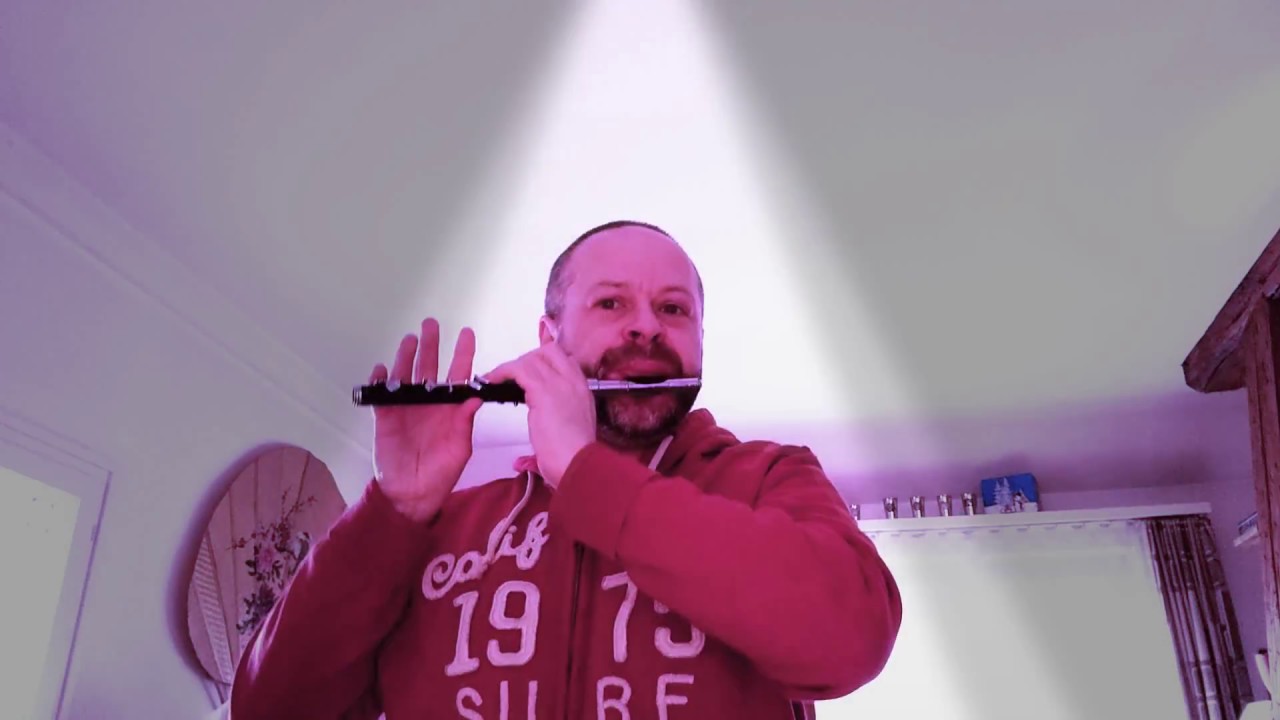 Ohremyggeli - Basler Piccolo Flute