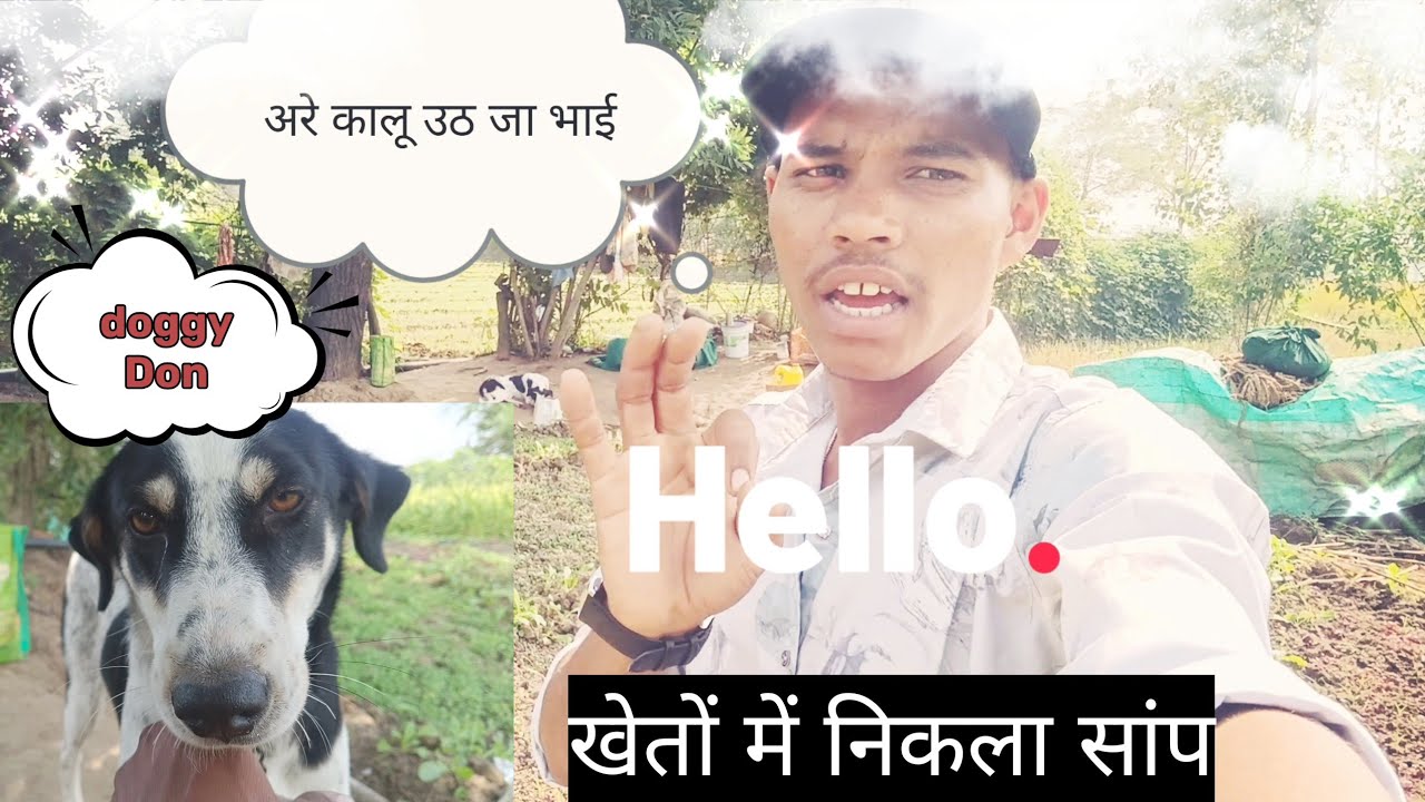 Kheti badi खेतों में पानी देने का काम ❤️🌾 CG agriculture जय जोहार जय छत्तीसगढ़