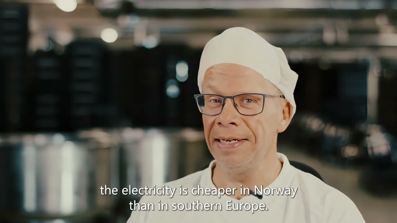 Sveba Dahlen Four tunnel électrique