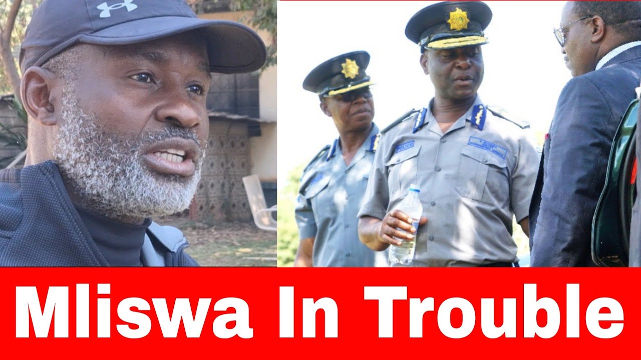 Mliswa In Trouble 😲 Chos In Harare As the police struggle take caught kombi Driver