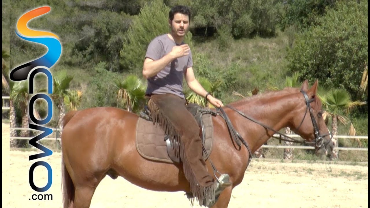 Posición correcta sobre el caballo - Consejos hípica