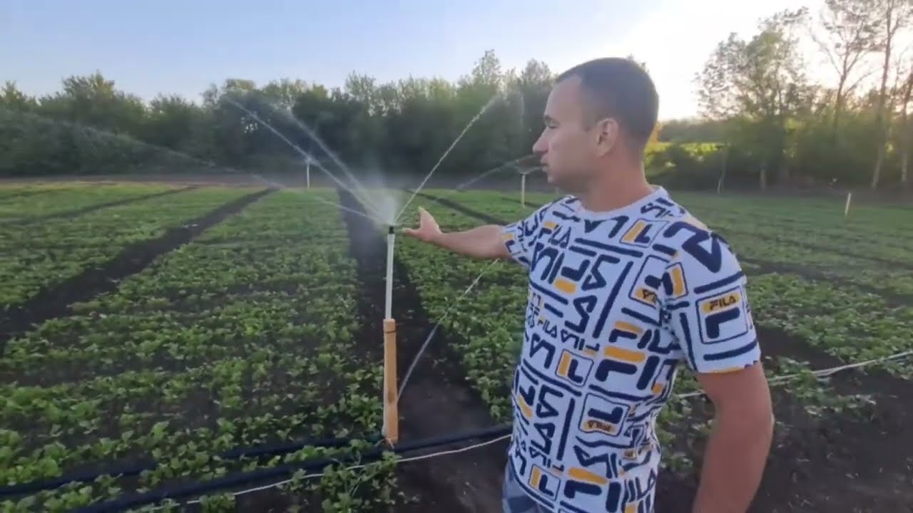Налаштування поливу ділянки під равликів