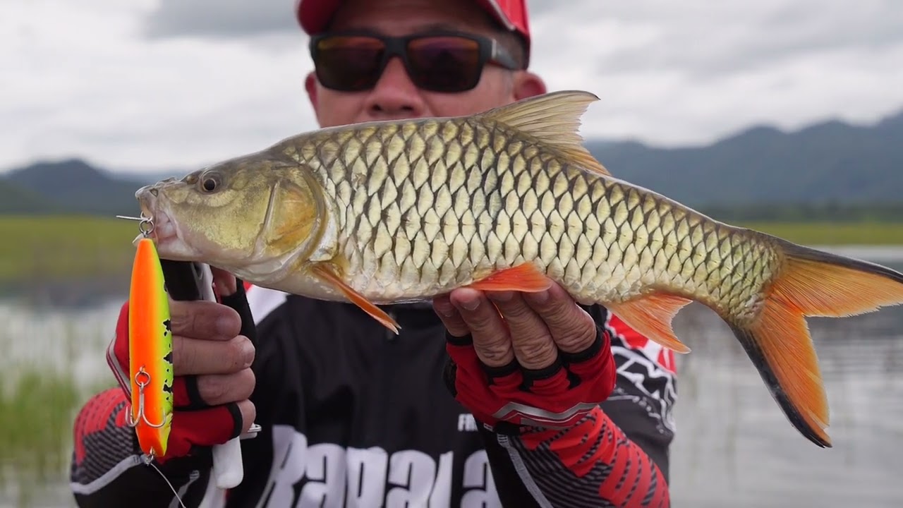 Fishing The New Precision Xtreme Pencil