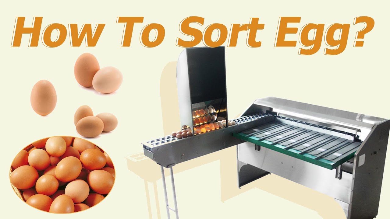 How are eggs graded? small egg grading sorting machine for sale