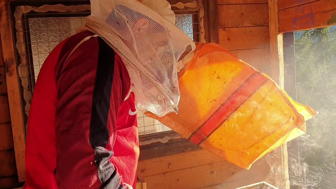 ARILAR İÇİN ERKEN GELEN İLKBAHAR BAKIMI