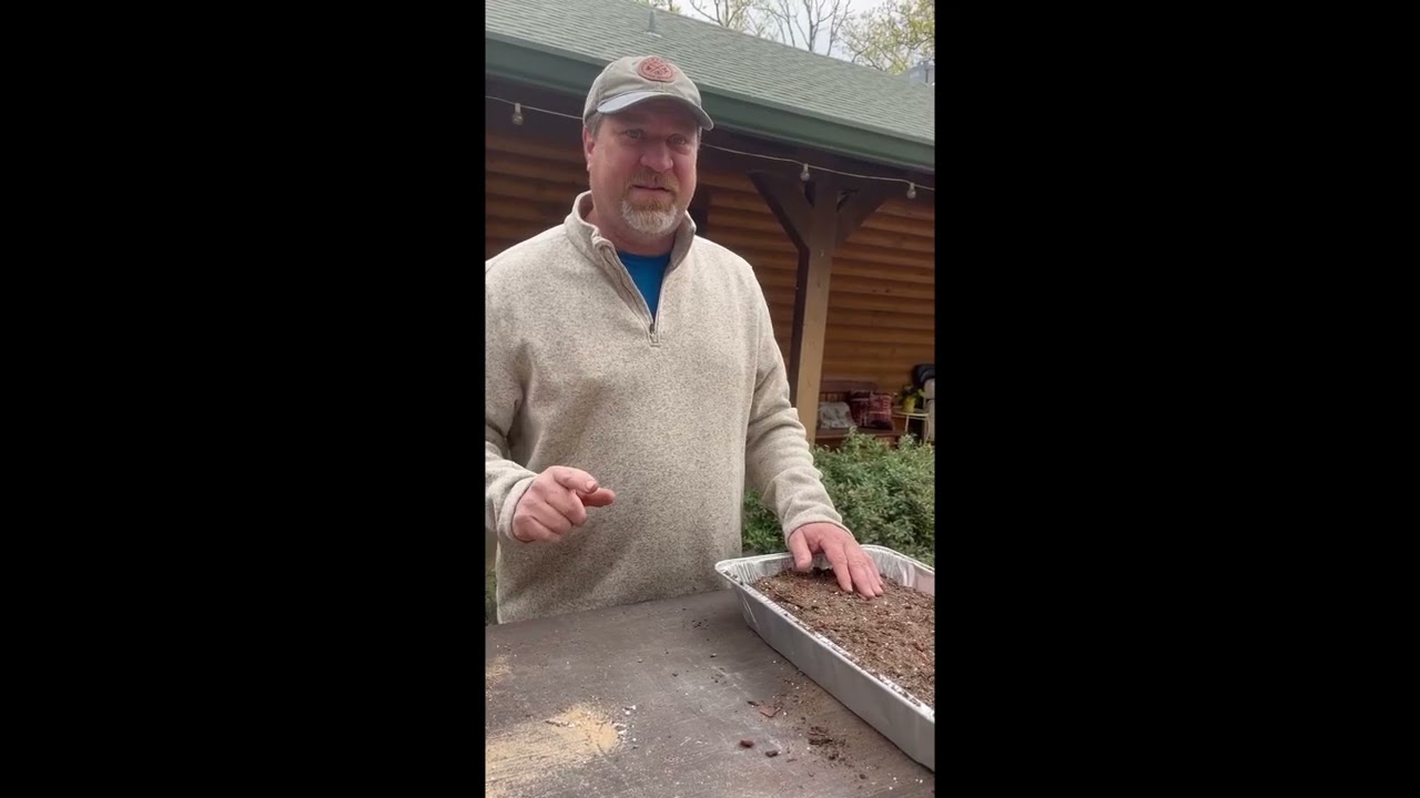 Propagating Bald Cypress by seed & Cuttings