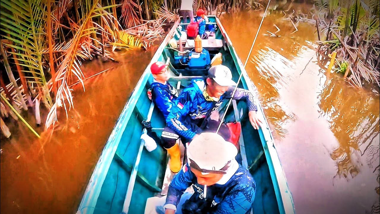 TRIB MUARA KEMBANG ‼️ SPOT MUARA PEGAH, ALHAMDULILLAH PANEN LAGI KAWAN 😆