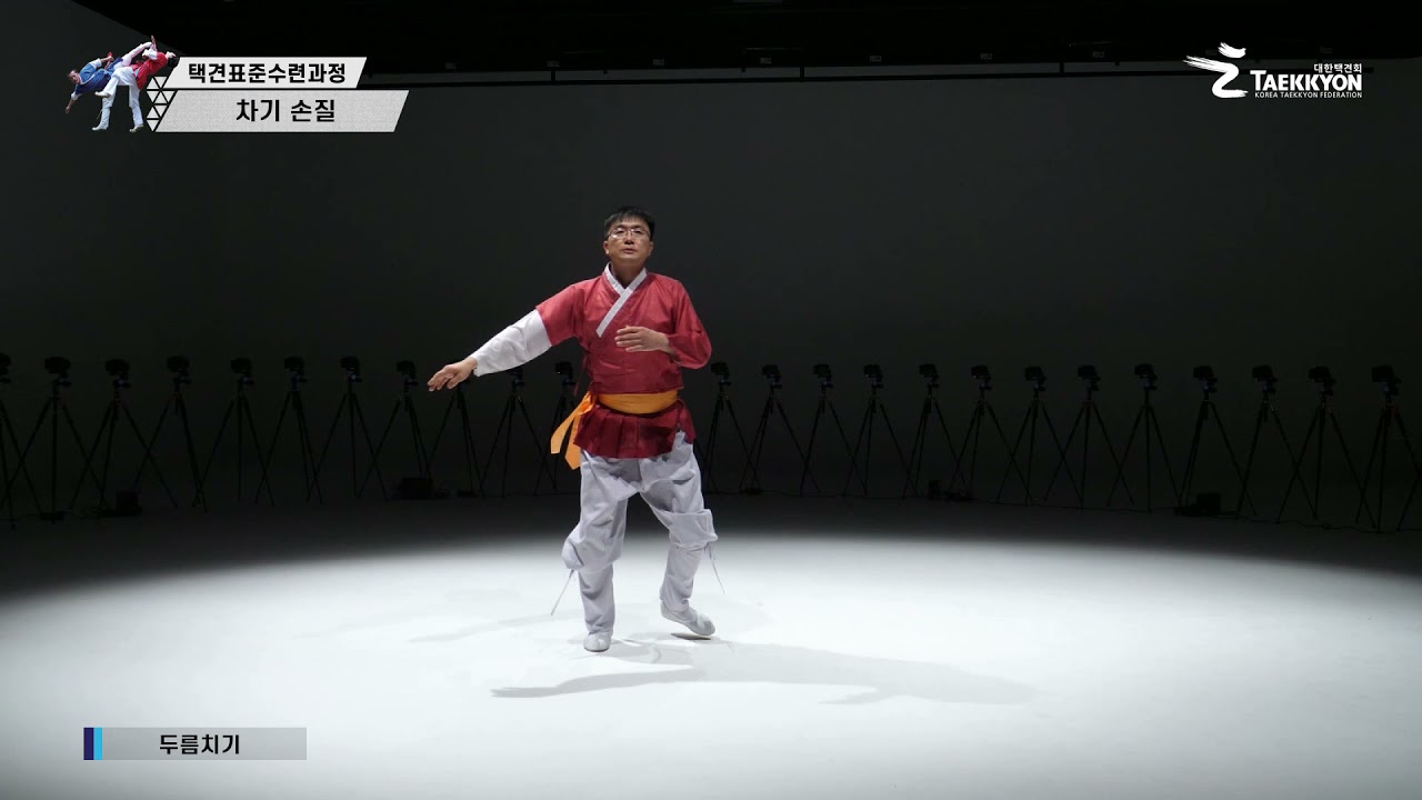 [4D] 대한택견회 표준수련과정_3. 차기, 손질