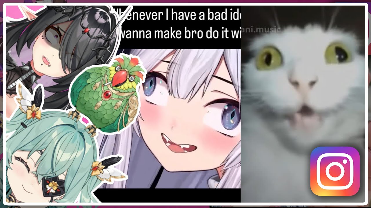 Unhinged Instagram Reels That Might Get Me Banned With  @ElaraVtuber