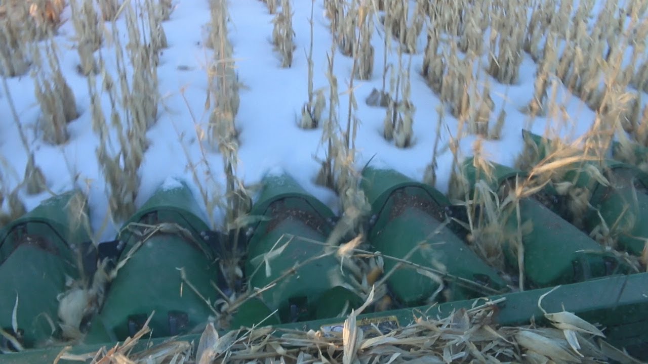 AgweekTV: Spring corn harvest in North Dakota