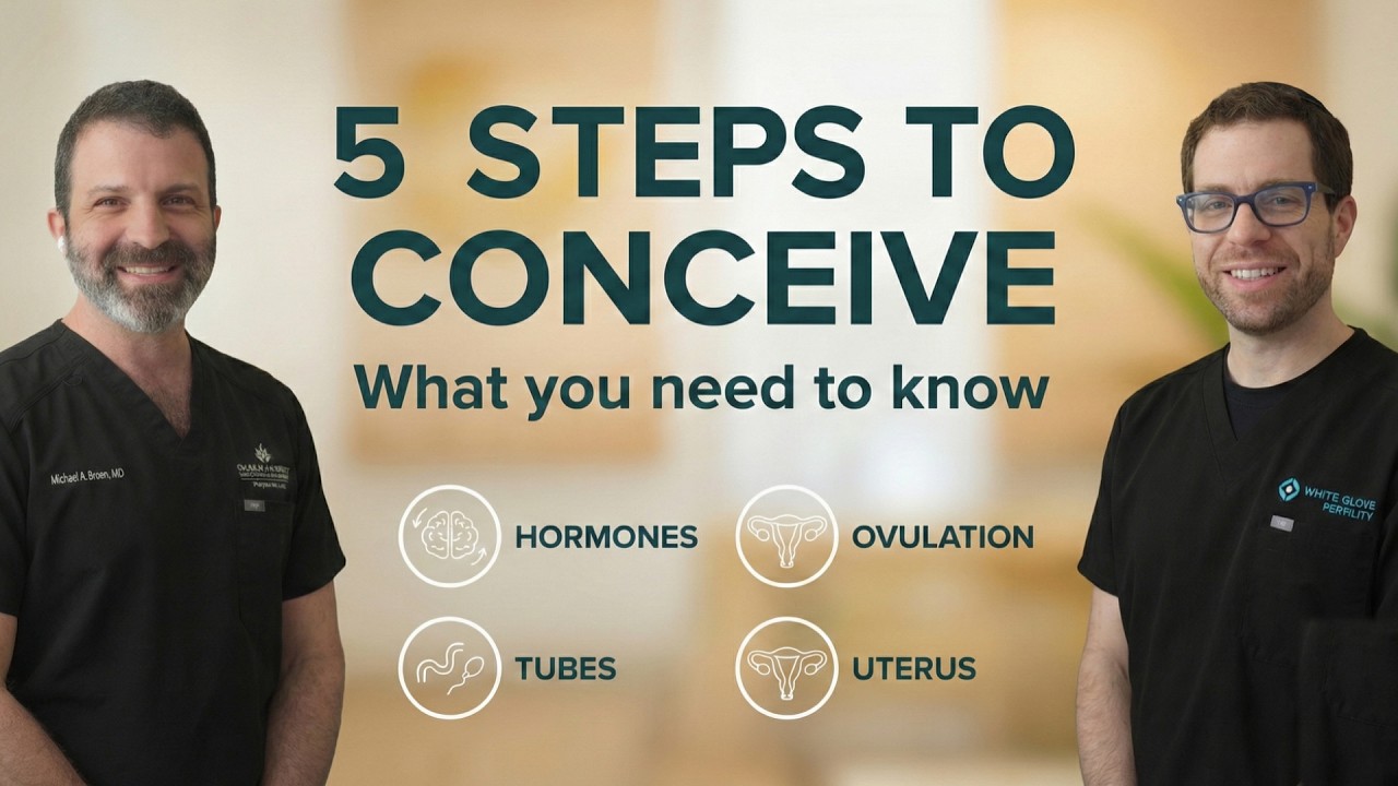 Fertility Basics: The 5 Things Needed to Get Pregnant, What Testing Includes, and Best Timing