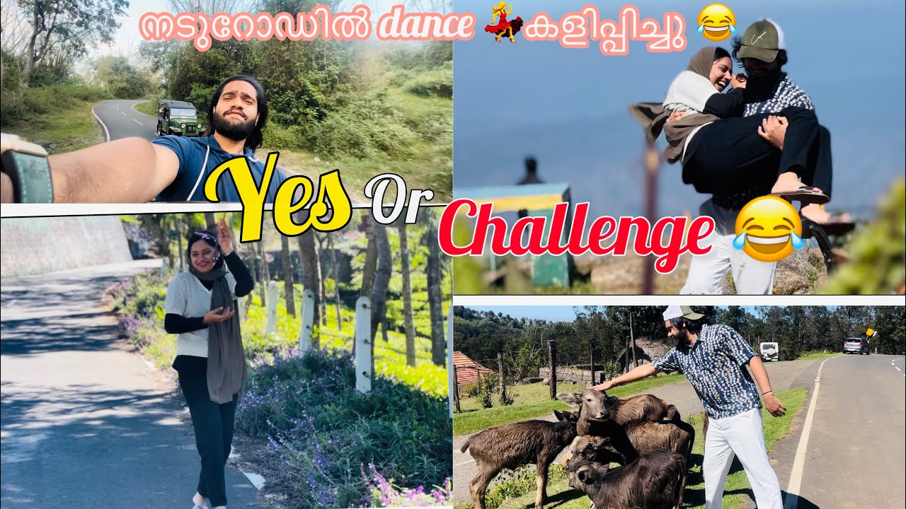 YES OR NO CHALLENGE 😂| നടുറോഡിൽ ലാമിയനെ  കൊണ്ട് Dance 💃കളിപ്പിച്ചപ്പോൾ😱| Ashiiahzaanvlog |