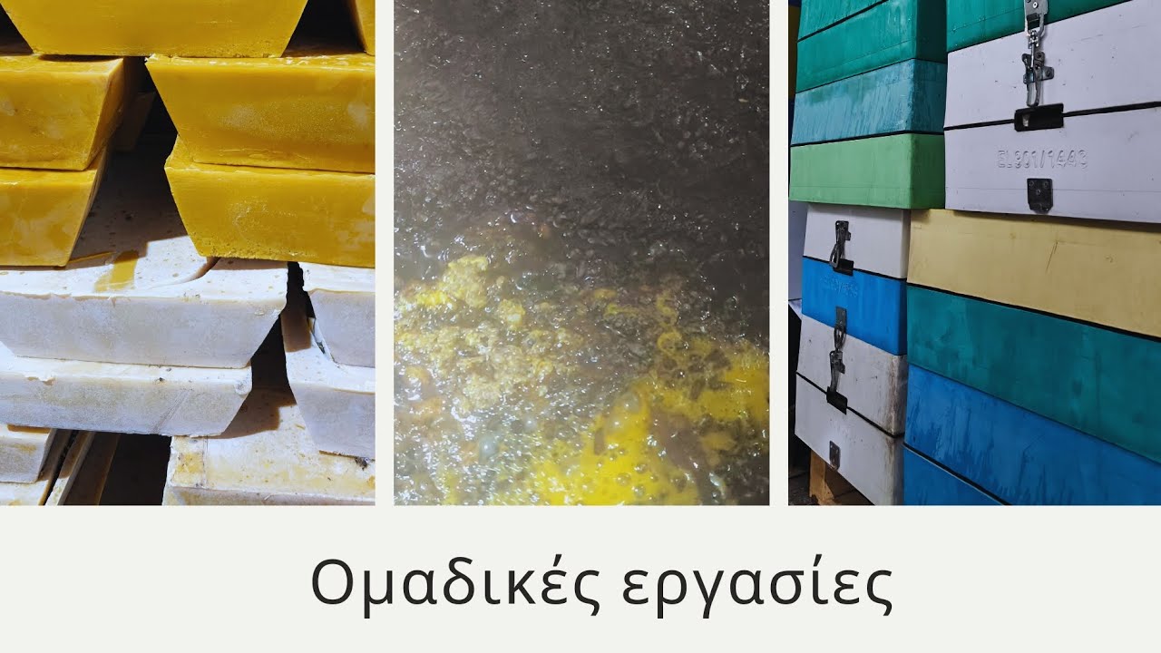 Μελισσοκομικές συνεργασίες + Q&A