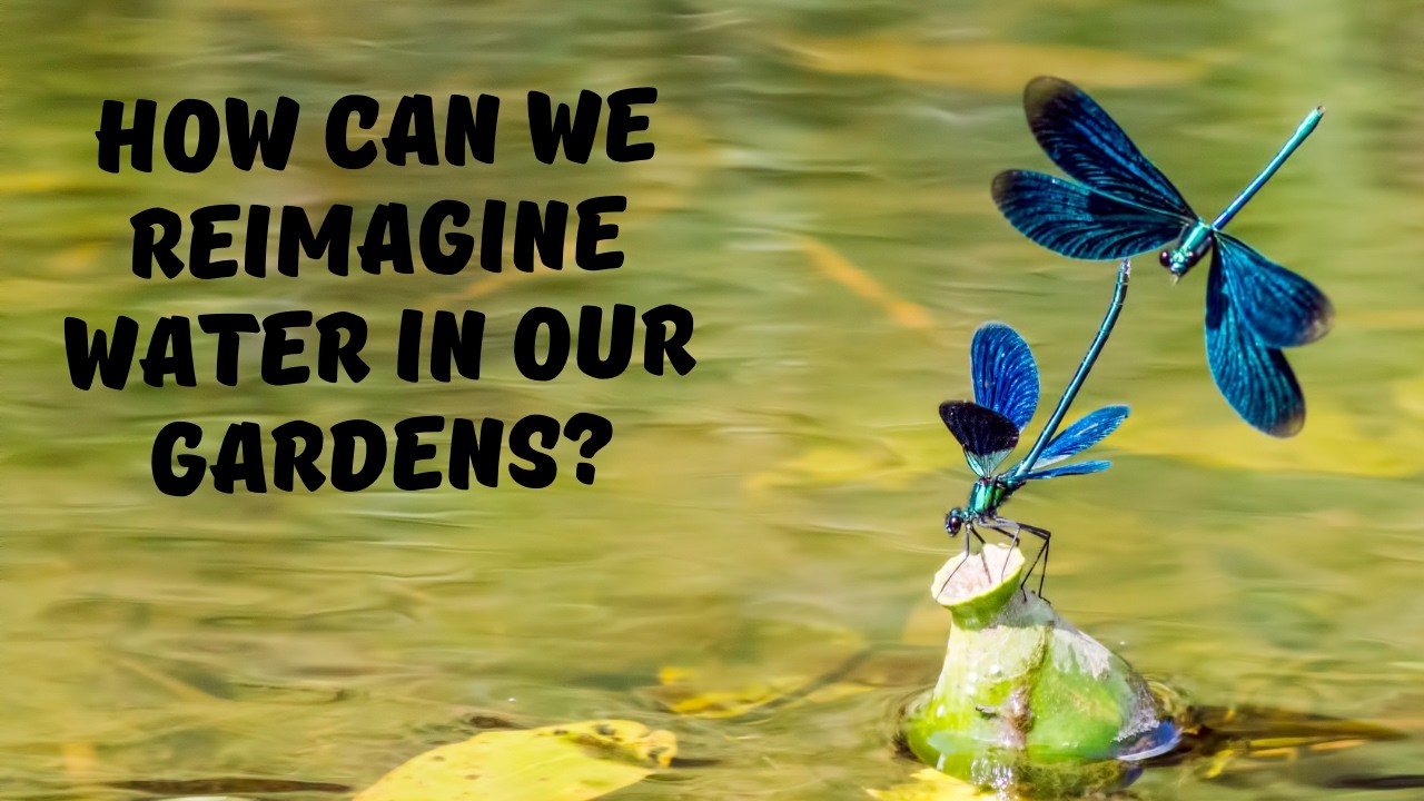 re storying water in our gardens AAMG