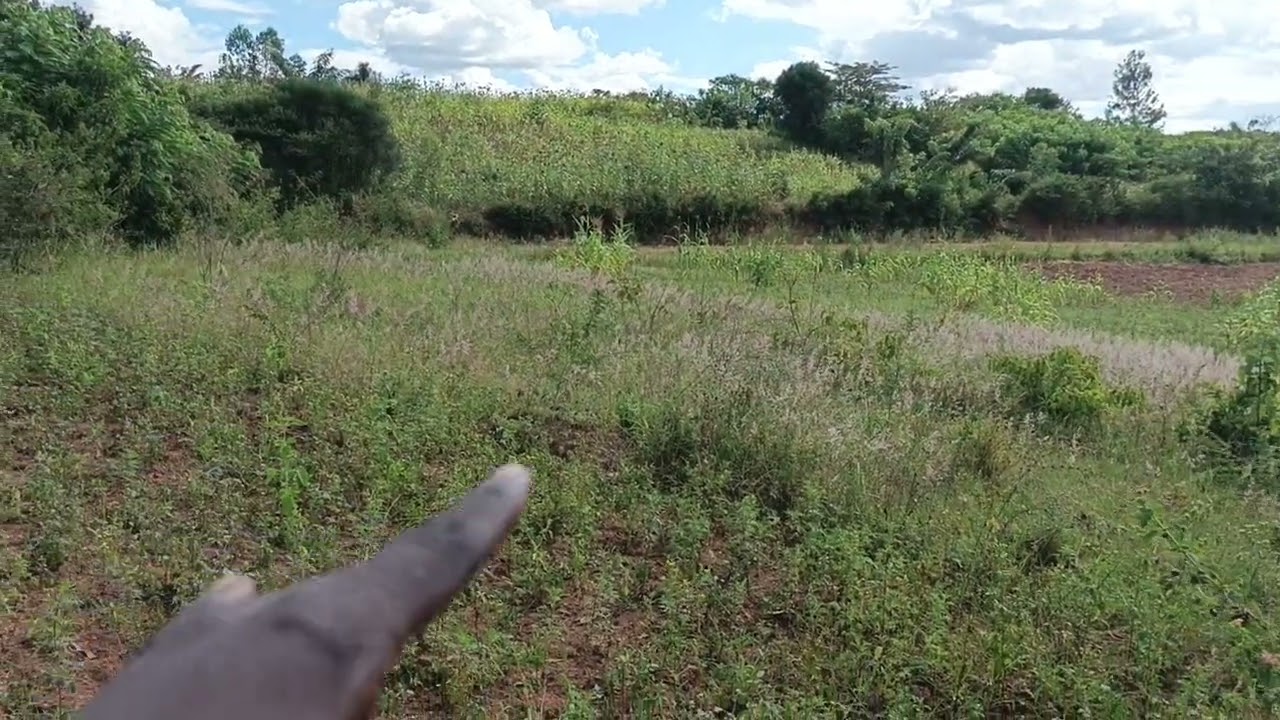 Gahanga rwabutenge murisite musiyamakadamiya ndangurisha ikibanza ubuso 313 miIion16.5 👉0781087088