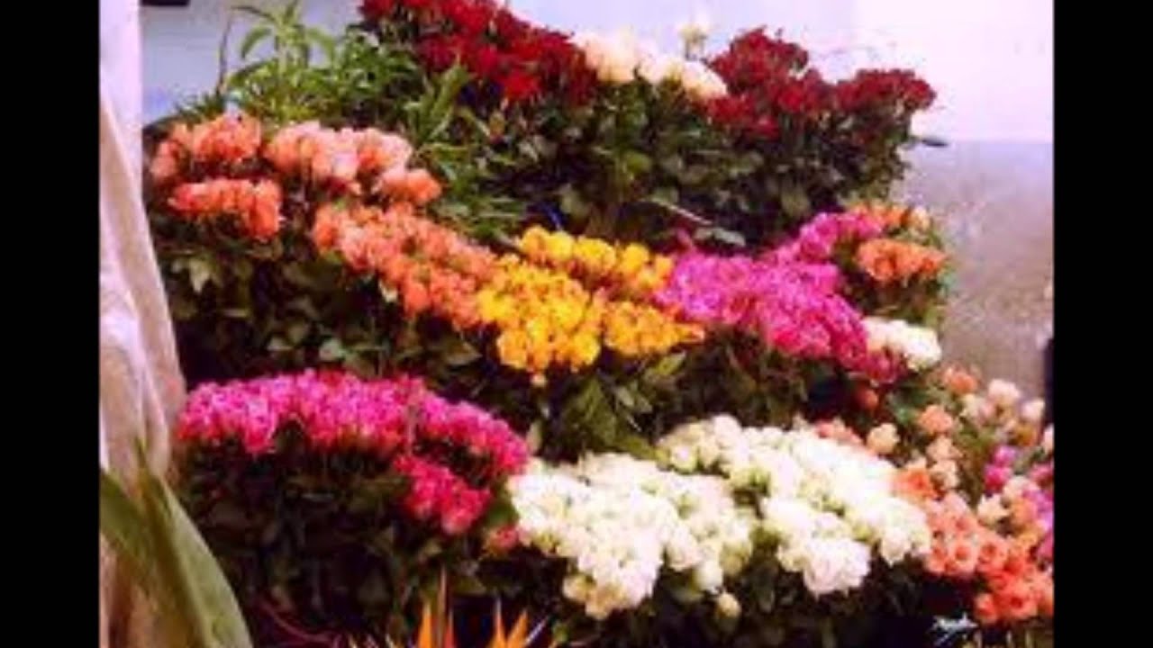 فهد عقيقي - ميلي بخصرك