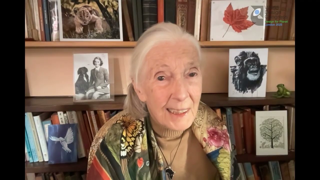 Dr Jane Goodall Opening for the World Design Congress London 2025