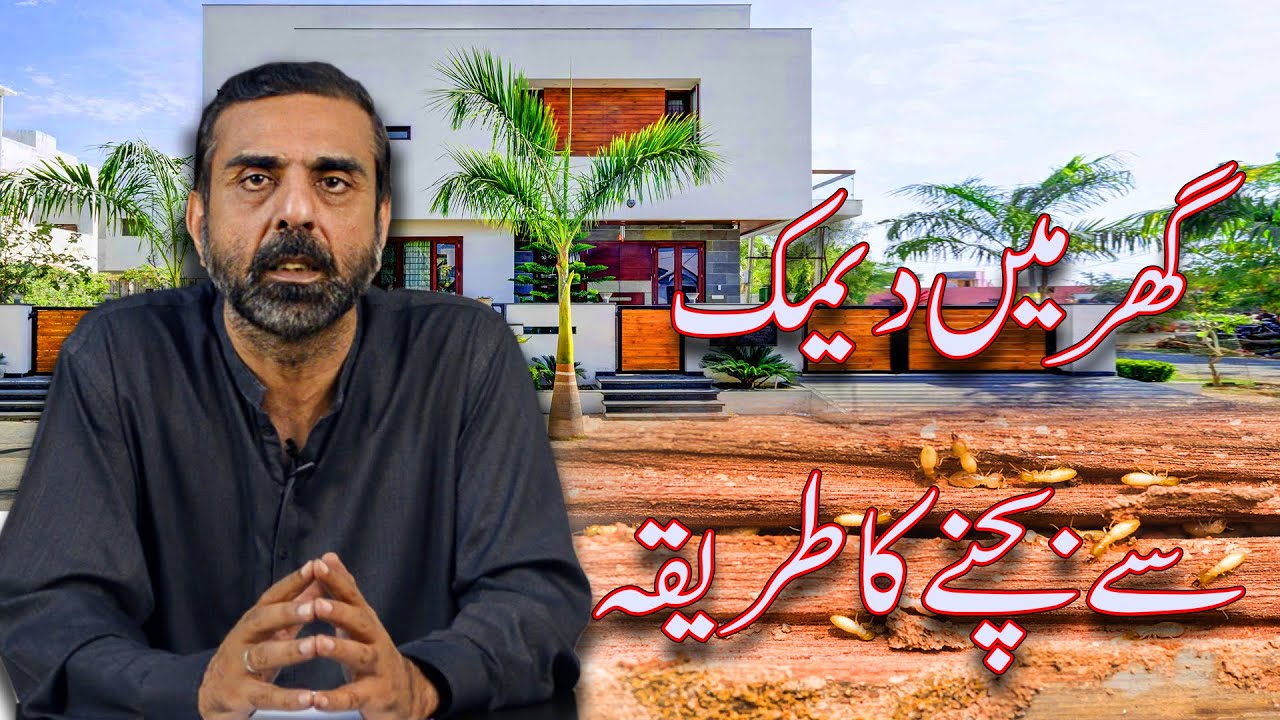 PROTECTING NEW HOUSE FROM TERMITE | What to do to keep house free of termite | Ghar Plans Pakistan