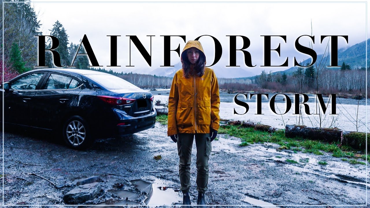 Rainforest Solo Car Camping in a Storm | Elk Encounter | Full Moon in Forks, WA