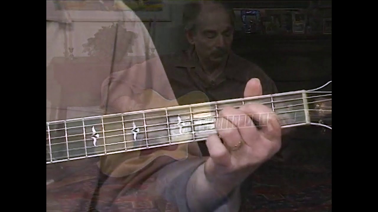 Artie Traum Performs  
