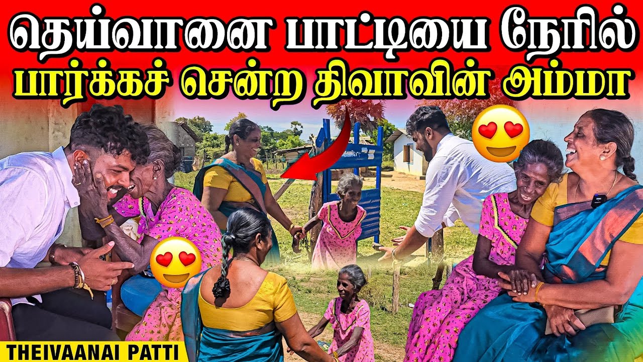 தெய்வானை பாட்டியின் வீட்டுக்கு சென்ற திவாவின் அம்மா | அதிர்சியில் பாட்டி  | Rj Tamizha