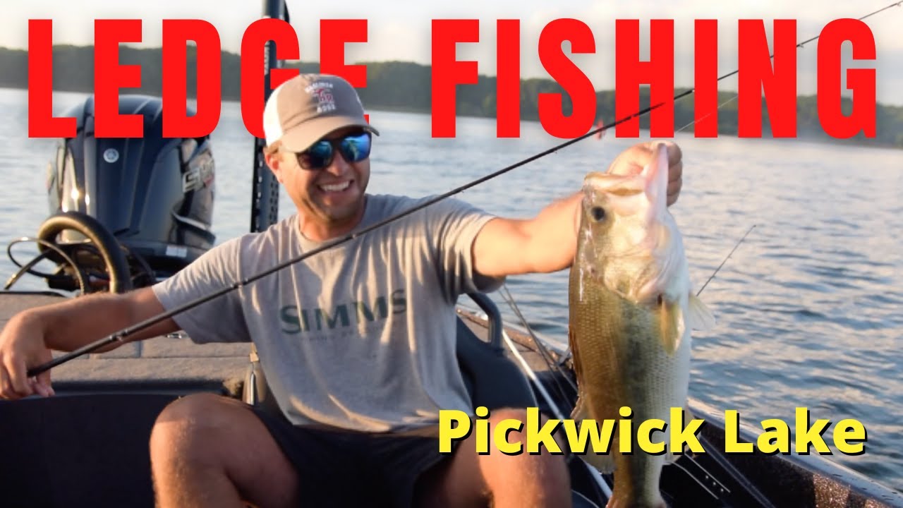 Mastering Ledge Fishing: Expert Tips for Pickwick Lake