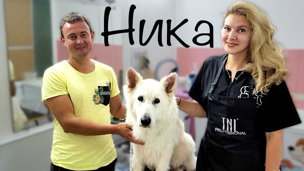 Новый член семьи. Ника!