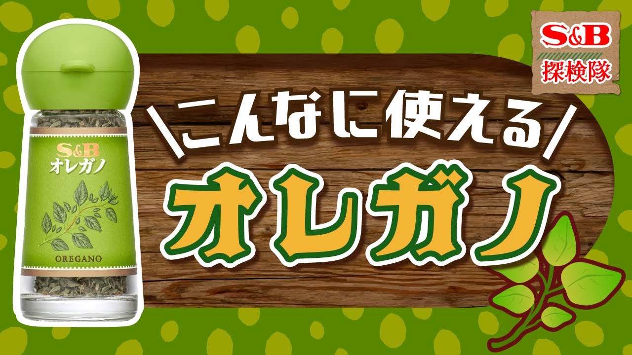 【スパイス活用術】トマトと相性抜群！爽やかな香りのハーブ「オレガノ」をご紹介！【S&B探検隊】