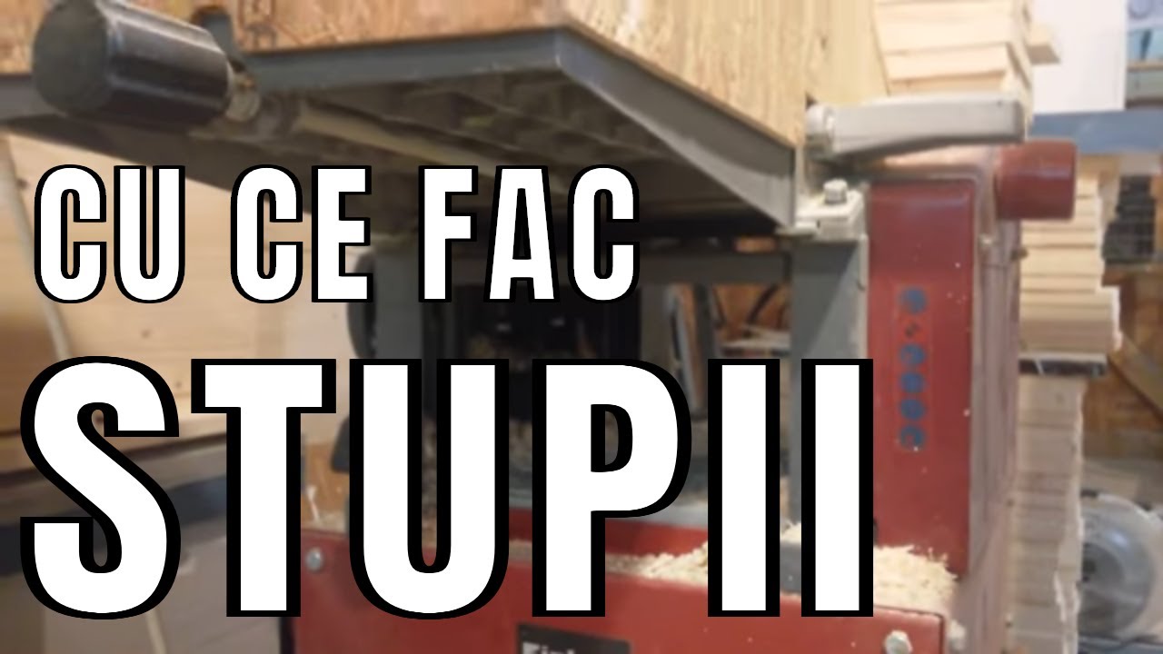 CU CE FAC STUPII  BEE VLOG