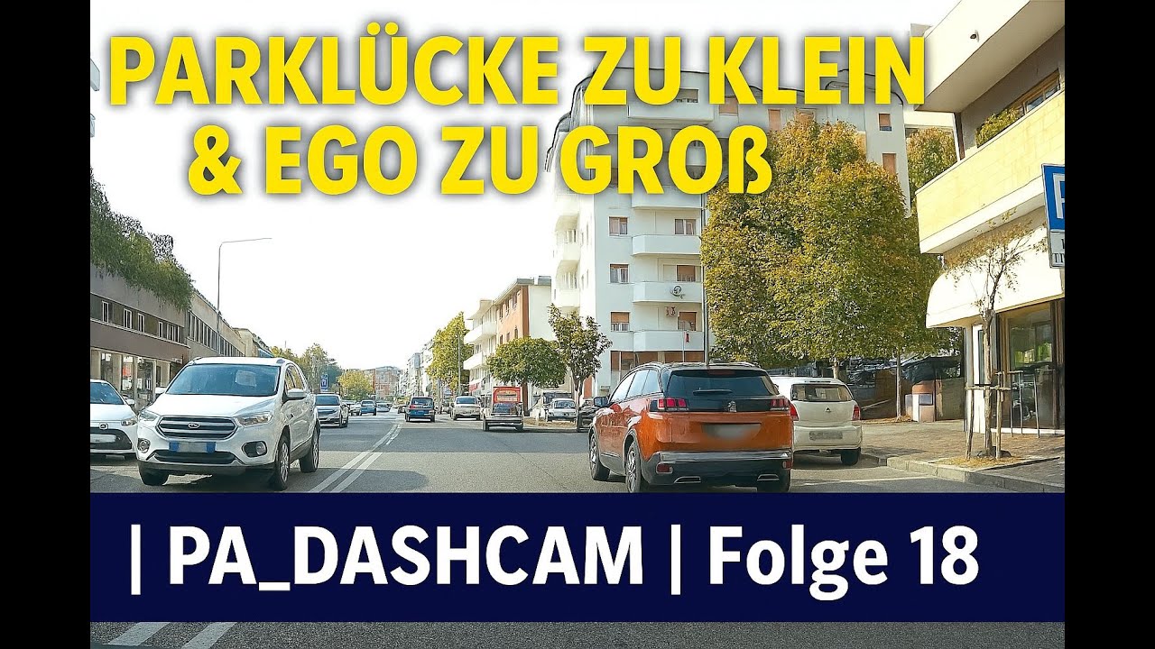 Parklücke zu klein & Ego zu groß | PA_DASHCAM | Folge 18 #dashcam #dashcamgermany