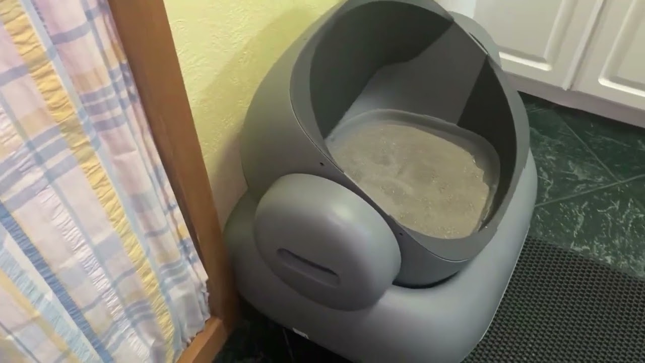 NEAKASA M1 Self-Cleaning Litter Box Review | Best Cat Litter Box