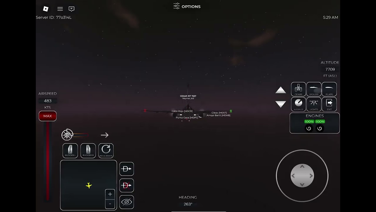 I flew a plane in Roblox project flight|early access pre alpha￼