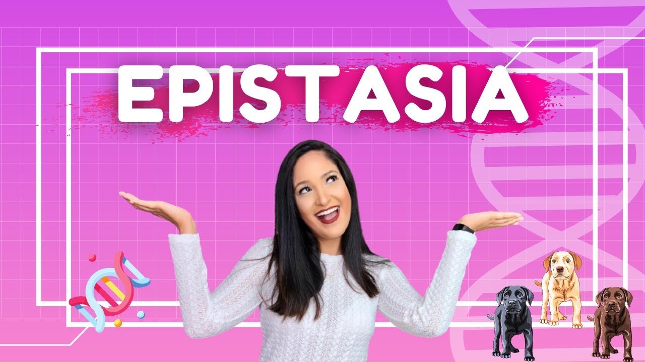 EPISTASIA - INTERAÇÃO GÊNICA - TIPOS DE ESPITASIA | Thaís Magalhães