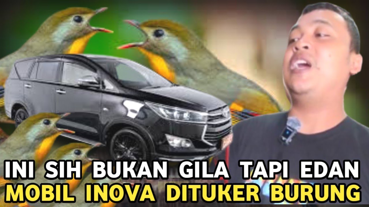 INI BUKAN GILA TAPI EDAN !!! MOBIL INOVA VENTURER DI TUKER BURUNG ROBIN DI PASAR BURUNG PRAMUKA 