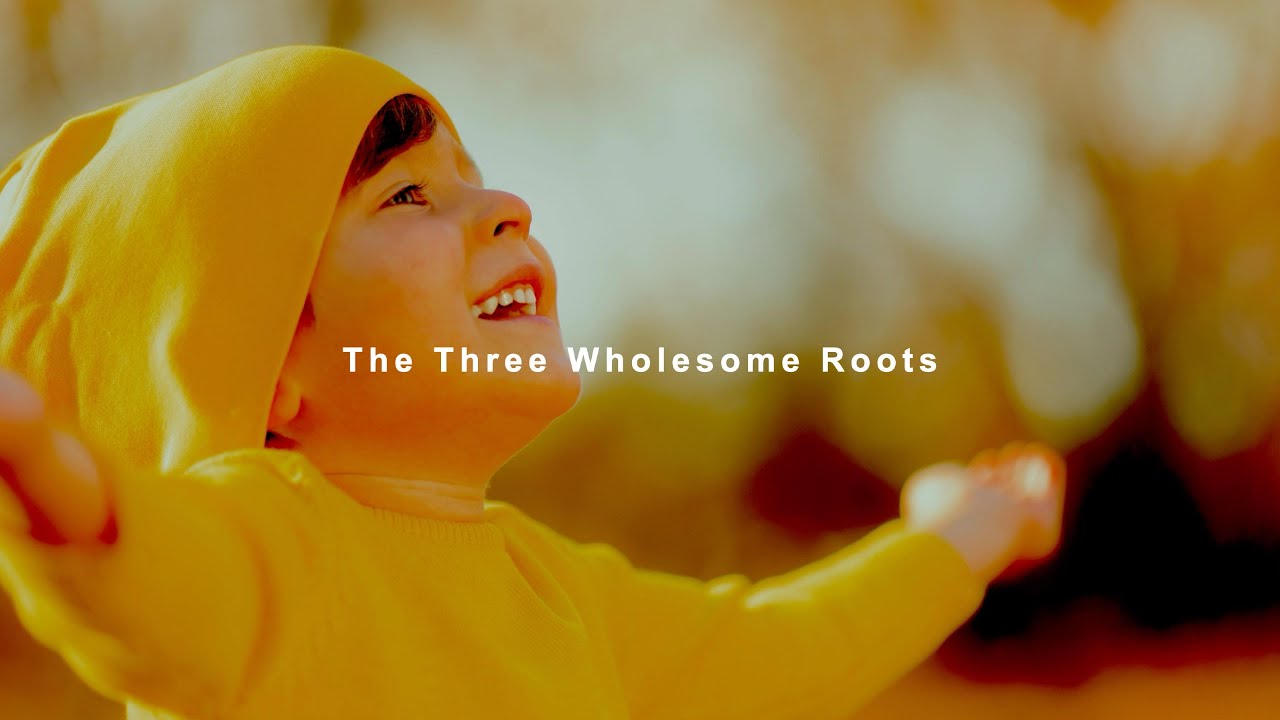 35. The Three Wholesome Roots - The Three Wholesome Roots