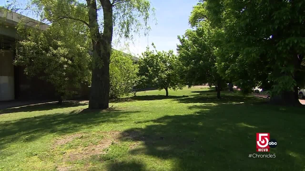 Visiting Olmsted's studio in Brookline, Mass., and exploring the largest park in Boston's Emerald...