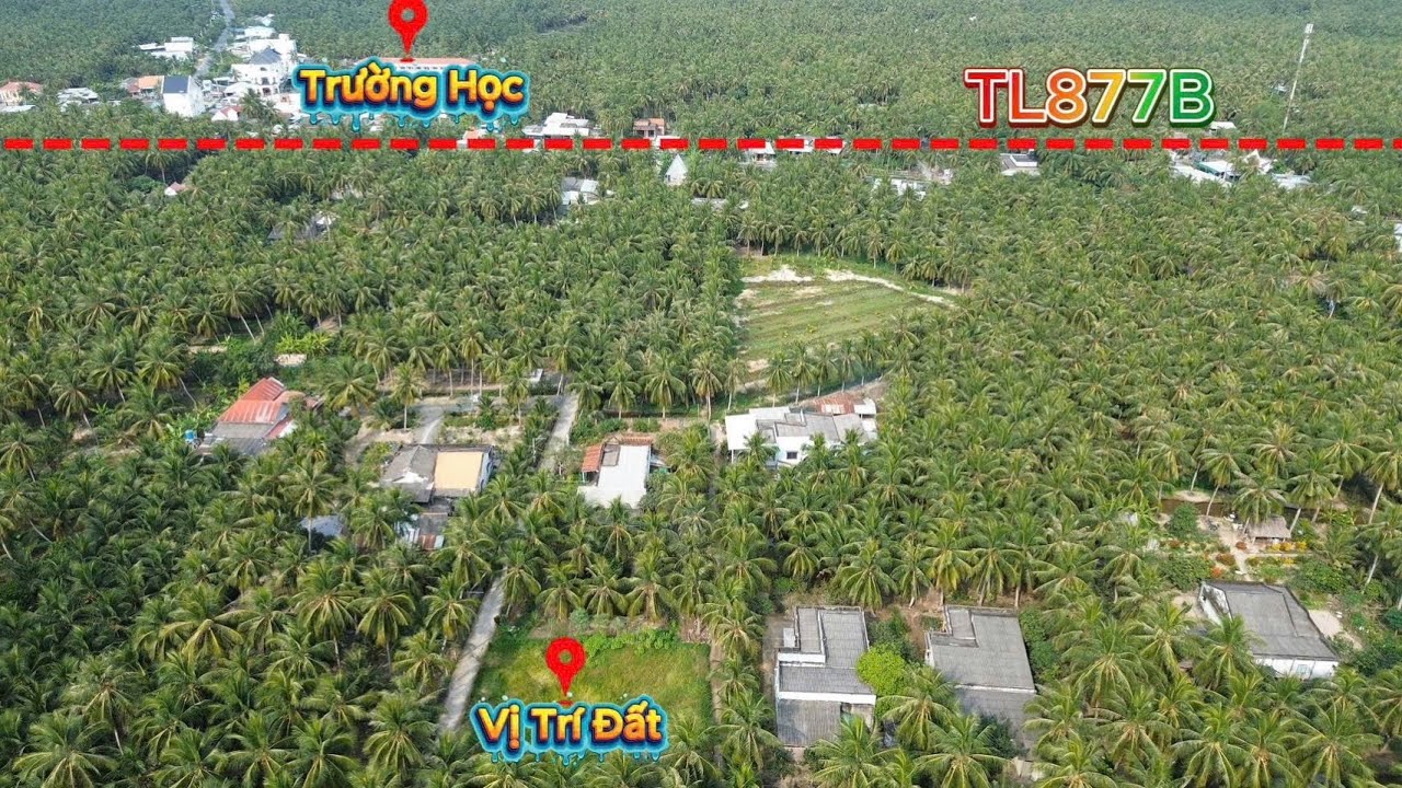 MS1993: Hết 215 triệu, 15.3m x 19.6m đường ô tô Tân Thới 