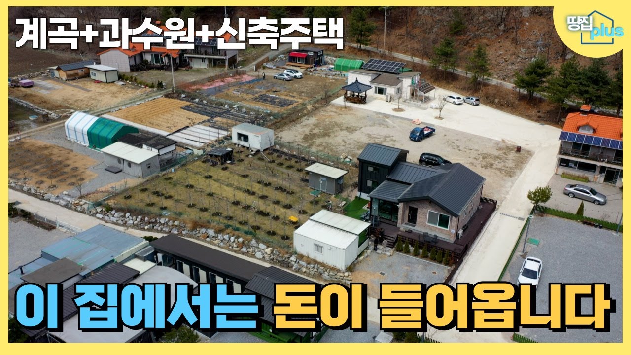 계곡 옆 300평 부지에 과수원까지?! 이 집에서 평생 돈 벌며 살 수 있습니다 #흥정계곡 주택 #평창 주택 #전원주택