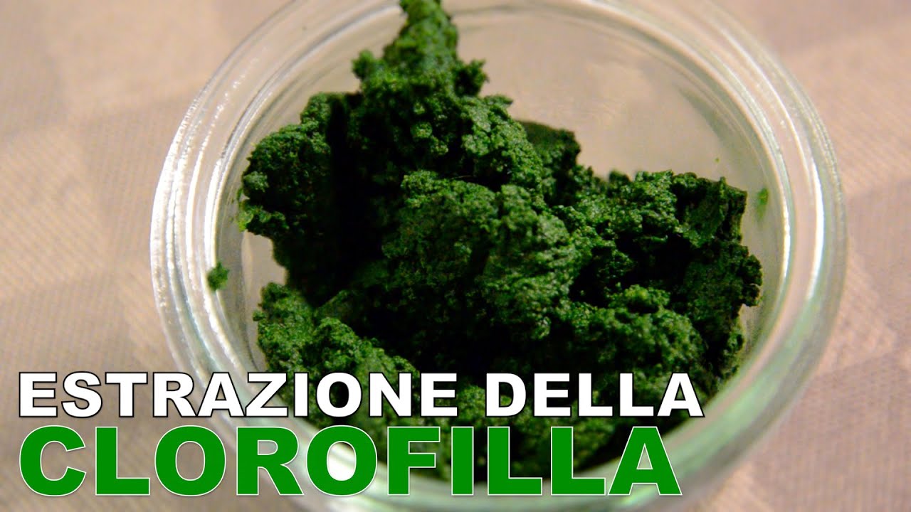 Estrazione della clorofilla - Tecniche di base