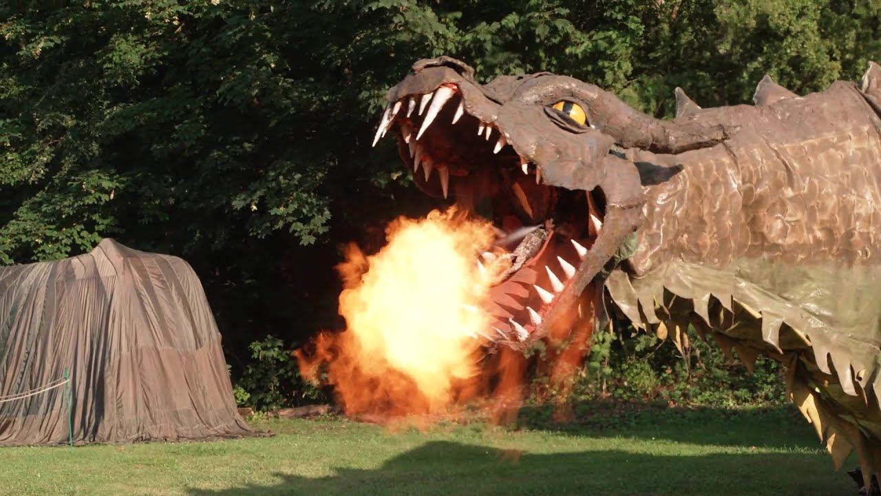 Drachenhort auf der Insel Poel gesichtet