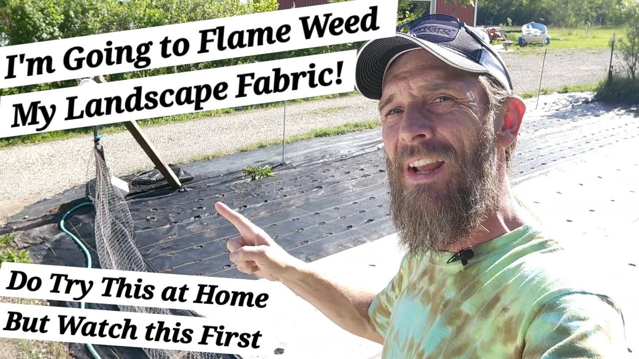 Flame Weeding Landscape Fabric for a Weed Free Farm!