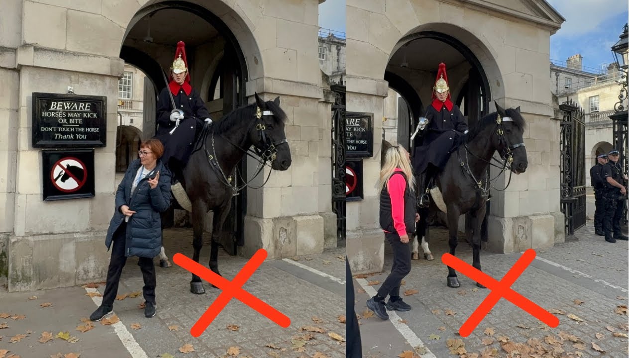 😡FINALLY NO SILENCE! Some Guards Stand Up to Disrespectful Tourists ✊