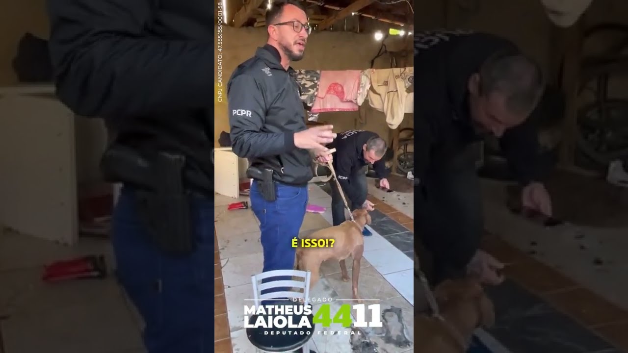 Você está preso! | Delegado Matheus Laiola