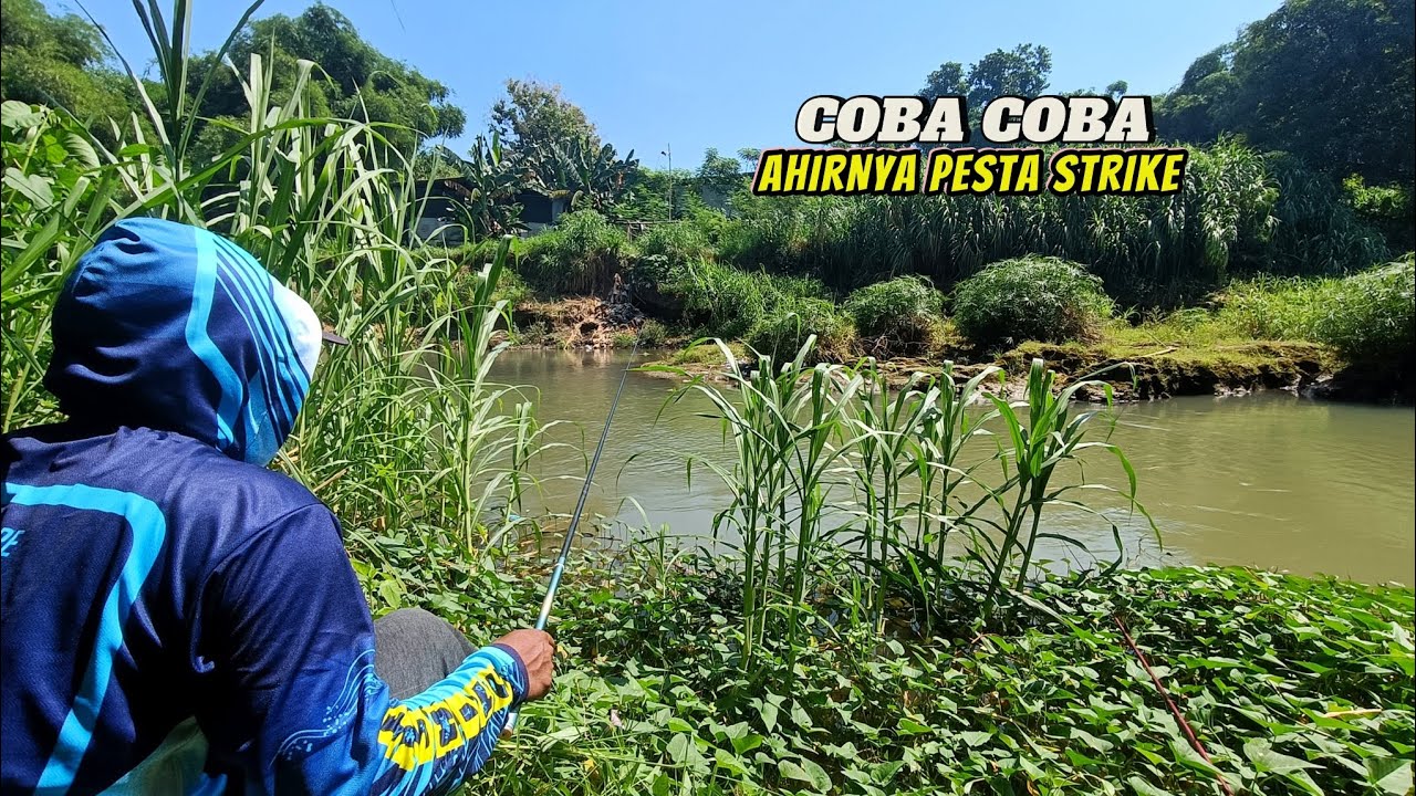 Seru NGEBOLANG mencari spot yang masih banyak ikan nya untuk dimasak di pinggir sungai pegunungan