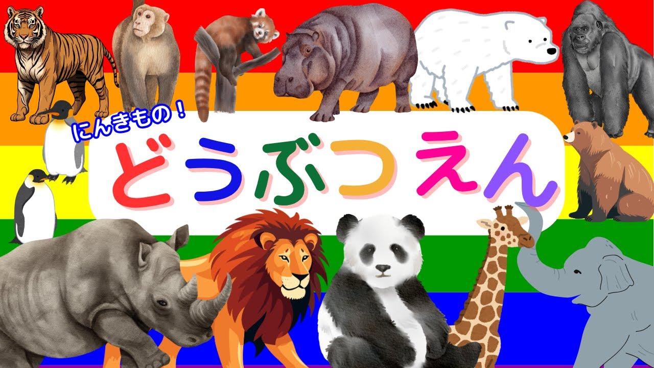 【どうぶつずかん】動物園に行こう！パンダ キリン ライオンなど、どうぶつえんで人気の動物が21種類登場！
