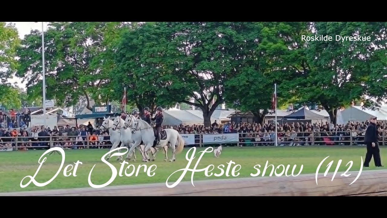 Det Store Heste Show (1/2) | Roskilde Dyreskue